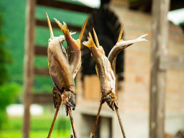 夏御膳／川で獲れたての天然鮎を丁寧に調理いたします！