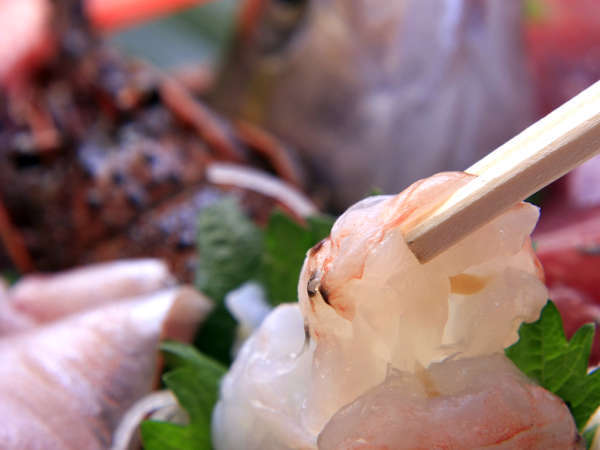 川端荘ではその日その時のとれたて鮮度が高い魚貝をご提供しております！
