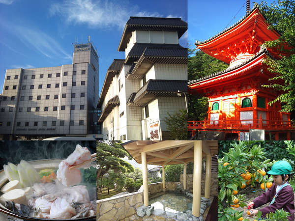 紀三井寺温泉 花の湯 ガーデンホテルはやしの写真その1