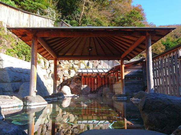 桜田温泉 山芳園の写真その2