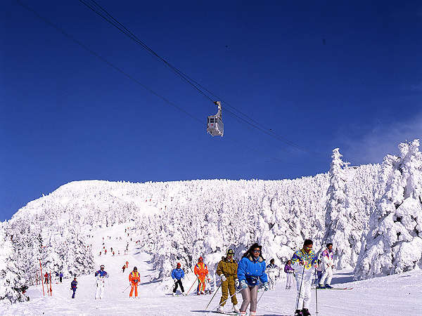 樹氷の景色を楽しみながら上質の雪を楽しもう！蔵王温泉スキー場は東北エリアでも人気スキーゲレンデです。