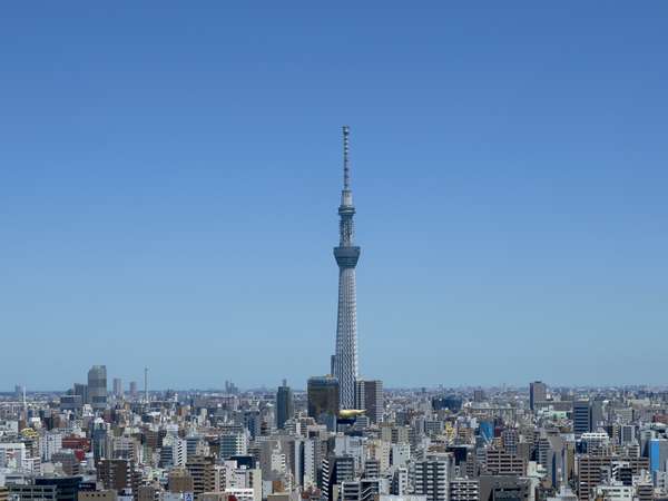 スカイツリービュー側からの眺め