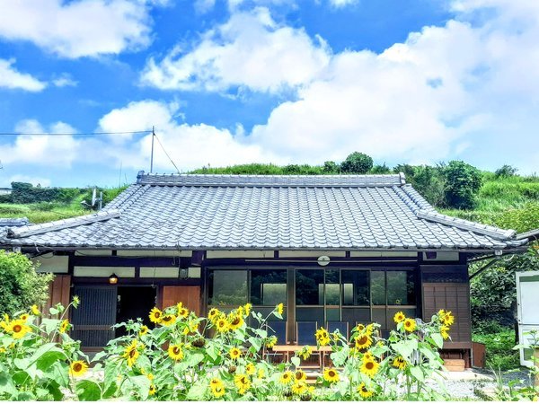 宿の前の畑では、夏はひまわり、秋はコスモス、春はれんげの花が咲きます。