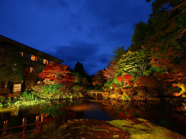 ■【庭園】夜のライトアップで一層美しい日本庭園