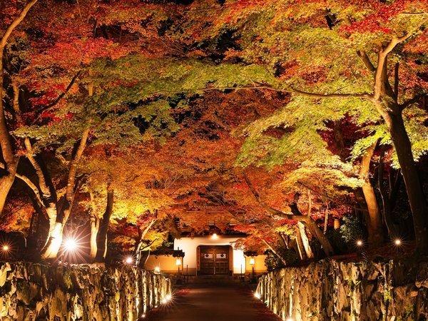 (秋の興聖寺)琴坂で有名な禅宗・曹洞宗の寺院です。※画像はイメージ