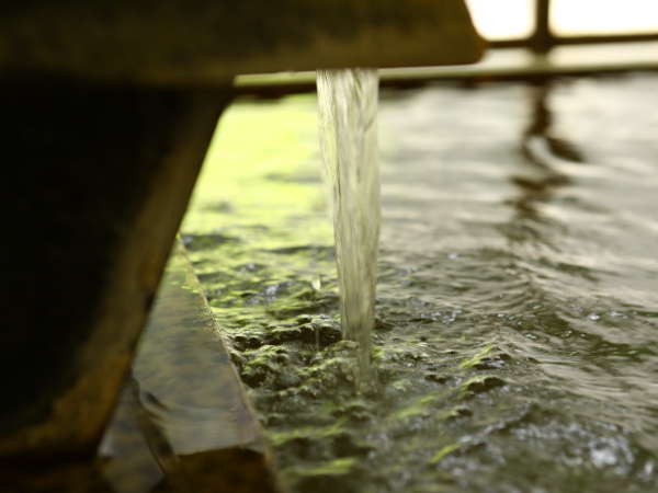湯量が豊富な温泉は、もちろん源泉かけ流し。アルカリ性の温泉は「美人の湯」としても人気。