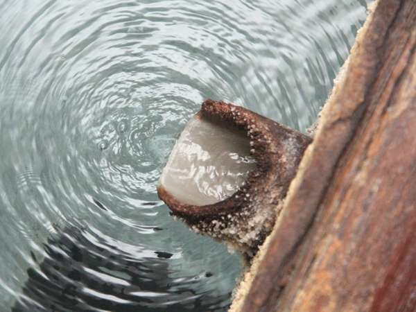 【温泉】内湯はもちろん草津温泉かけ流し