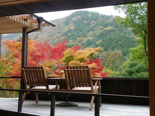 スイートルームのテラスからは、箱根小涌谷渓谷の紅葉を目の前に独占していただけます♪