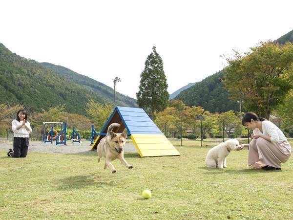 松阪わんわんパラダイス 森のホテルスメールの写真その3