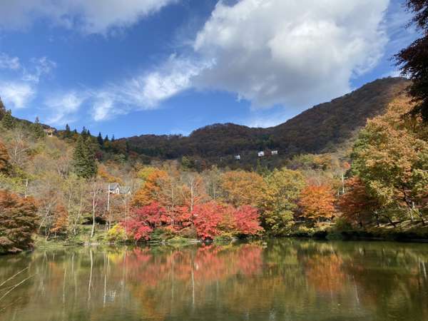 和美湖の紅葉