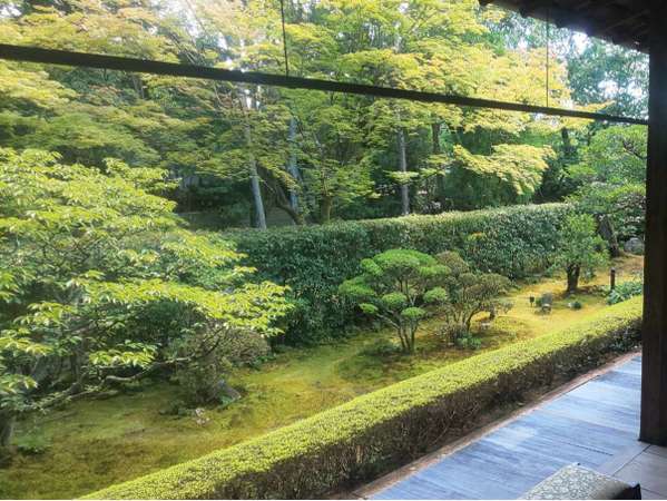花園会館のプラン「妙心寺塔頭【桂春院】でお庭を楽しむ宿泊プラン【朝食付】」