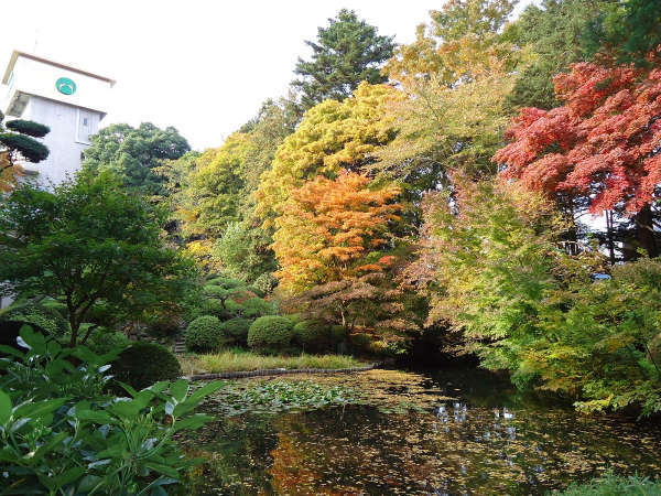 *日本庭園（秋）/約4500坪に彩られる木々や草花。四季ごとに違う表情を見せる景観に魅了されます。