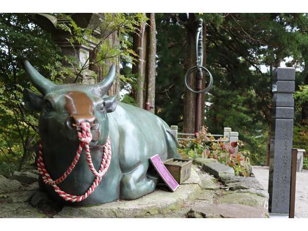 宝牛　　　　　　　　大山寺境内にあります。皆がナデナデどこが一番ピカピカでしょうか？