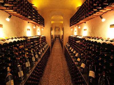 *7000本ものワインを貯蔵するワインカーブ。お気に入りの1本をお選び下さい。