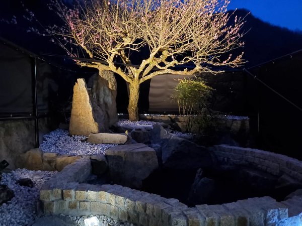 梅の木と天然露天温泉
