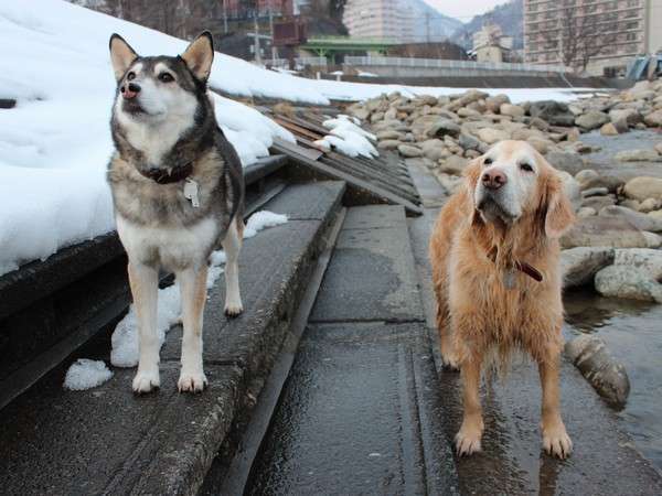 冬の清流公園