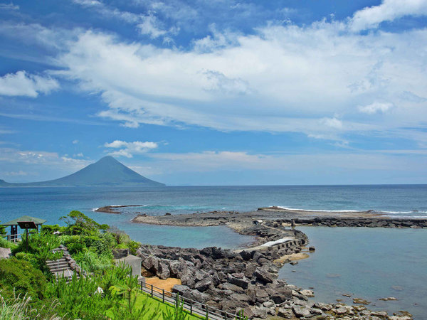 いせえび荘 ～伊勢海老料理×海と開聞岳の絶景×お祝いの宿～～の写真その4