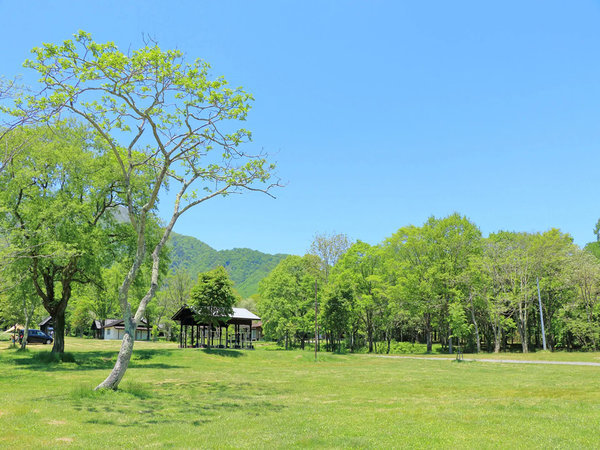 浅草山荘の写真その5