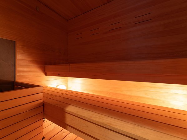 Private sauna_4