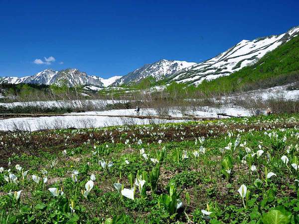 ロッヂ秀岳の写真その5