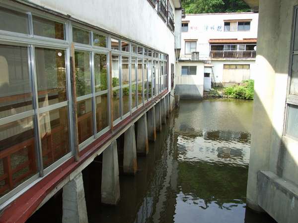 池の上に建つ、珍しい温泉旅館ですが、廊下はギシギシ、トイレは共同と大変ご迷惑をお掛け致します。