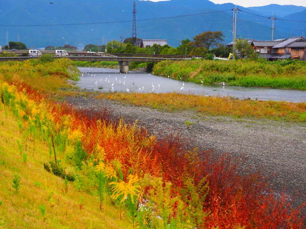 美しい高島の自然