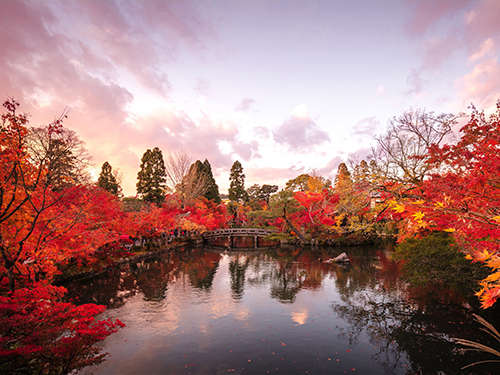 【紅葉スポット・永観堂】約3千本のイロハモミジやオオモミジが池泉回遊式庭園を彩る