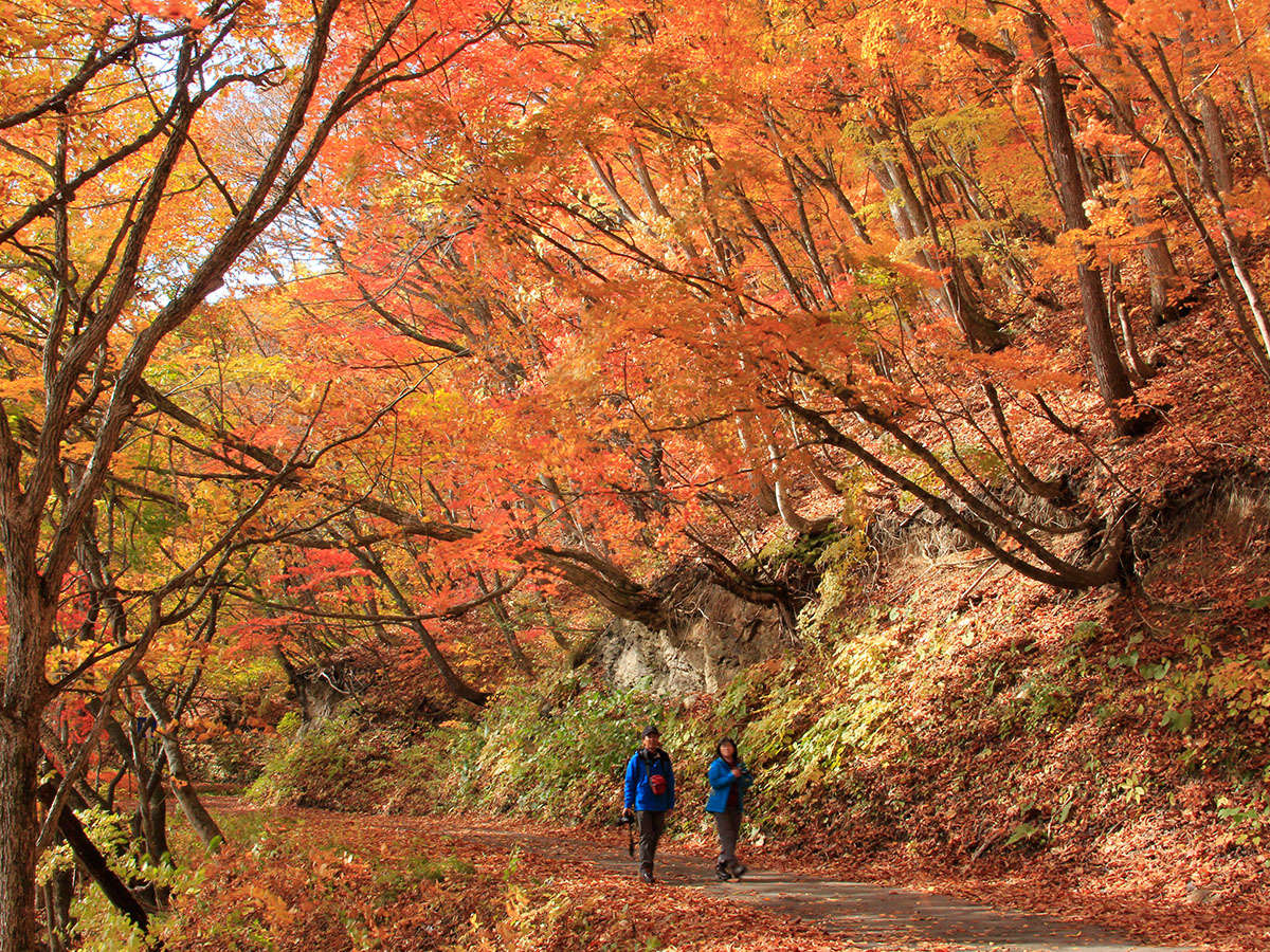 HyяHhCuƍUzf̍gtUŏH𖞋iBhpEFA݂oI