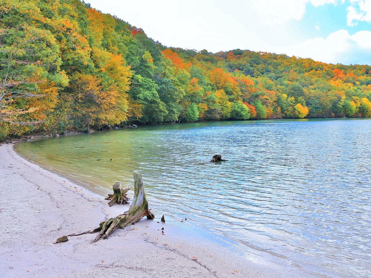 【周辺観光】エメラルドやブルーに色が変化する潟沼の紅葉は絶景（ボート乗り場もあり）