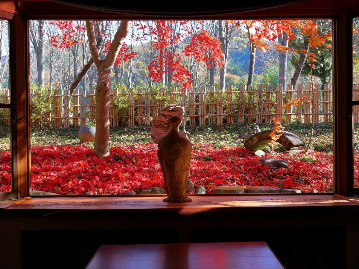 秋に色づくセラヴィ