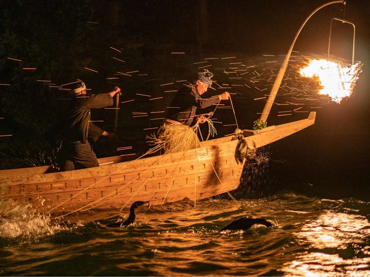 長良川鵜飼は1300年以上の歴史を誇る伝統漁法です