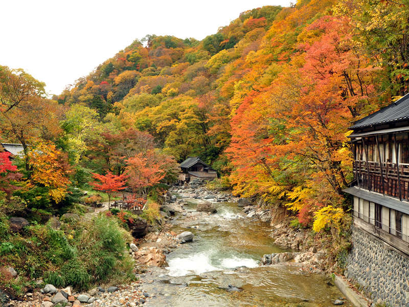【外観】美しい紅葉が印象的な秋の景色