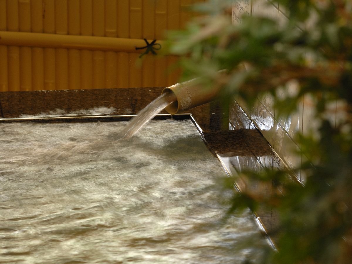 ㉷̑嗁BLXƂƂȂĂ܂B