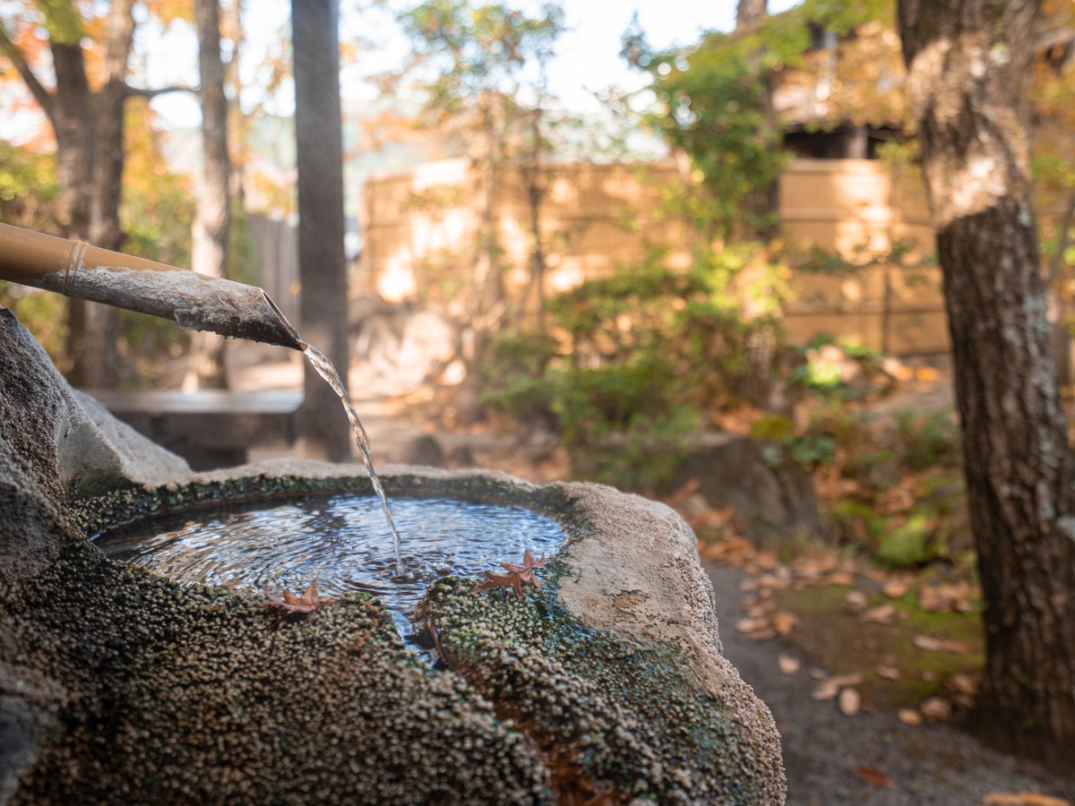 秋、心も体も満たされる癒しのひととき