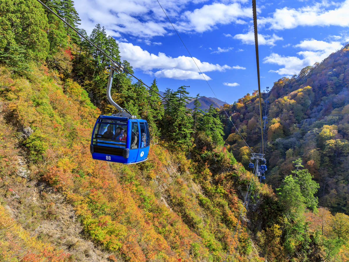ドラゴンゴンドラ：日本最長、全長5,481mのゴンドラ。新緑も紅葉も、 季節ごとに広がる景色を楽しめます。