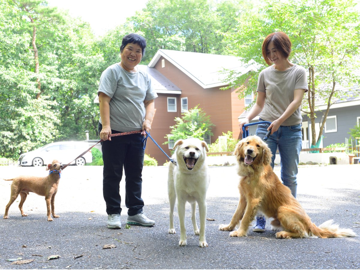わんこ大好きな方、ぜひありの塔のわんこを散歩してくださいね♪