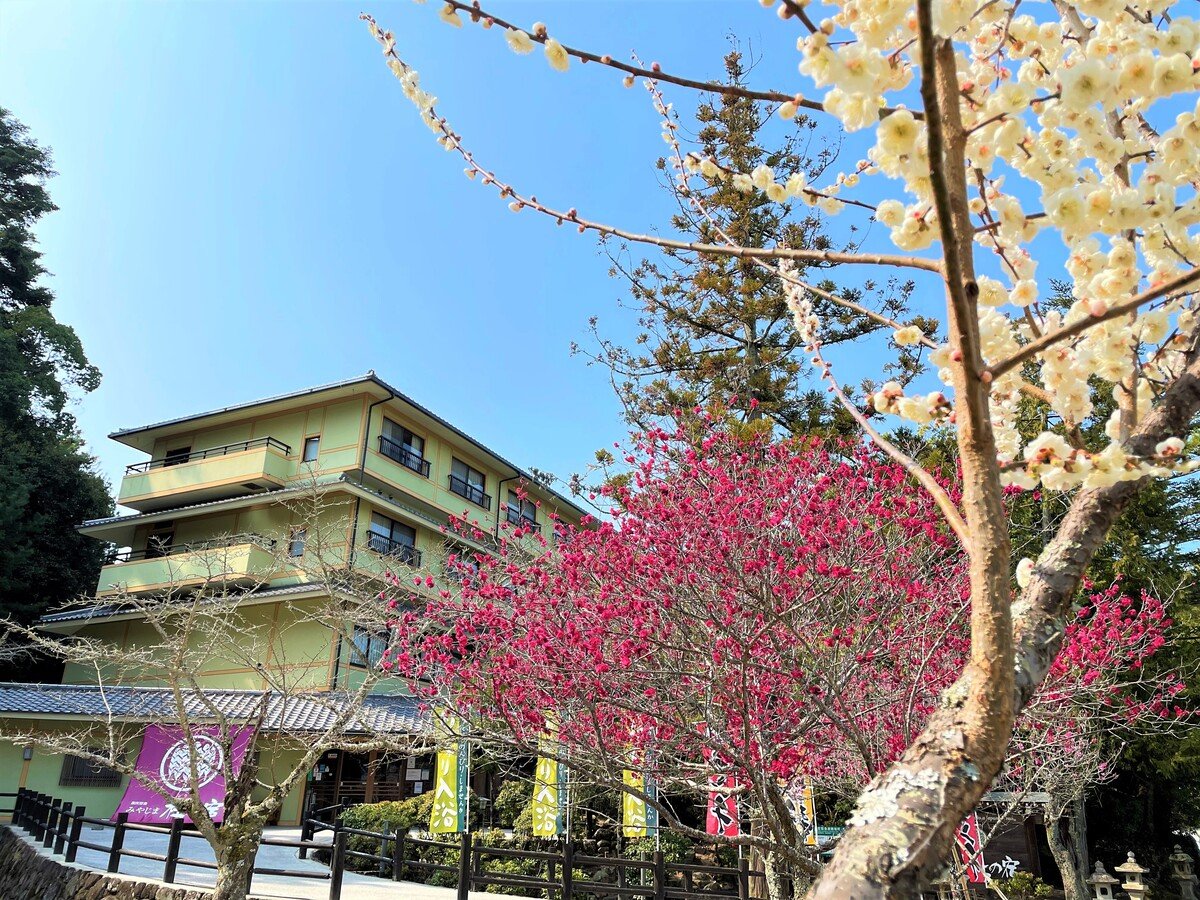 梅の香りに包まれて、宮島の奥座敷で過ごす冬。みやじま杜の宿で穏やかなひとときをお楽しみください
