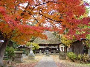 紅葉が見事な「智識寺」は車で約10分、11月初旬から見頃を迎えます。