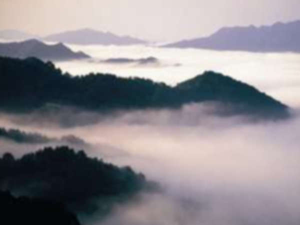 山々を島々へと変える雲海。自然が作りなす絶景に、神秘をを感じます♪