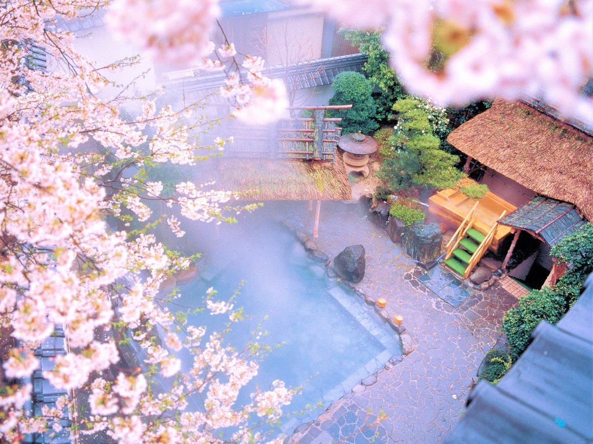 春、桜見露天風呂