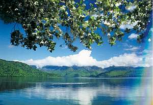 新緑の中禅寺湖。青空と緑が湖面に映り美しい