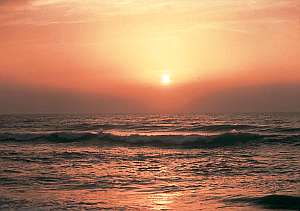 海から昇る朝日は一見の価値有り