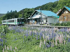 「駅の宿ひらふ」の日本でただひとつ。駅舎が民宿。列車を降りて１７歩で到着