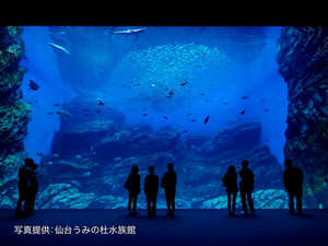 【レジャー＆観光】仙台うみの杜水族館