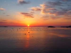 絶景の日の出は是非目に焼き付けておきたい風景。