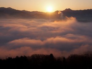 雲海