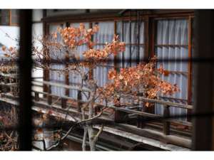 【客室設え】大正初期のデザインがあちこちに楽しめます。