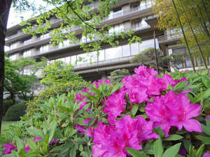 「信玄の湯　湯村温泉　常磐ホテル」の新緑まぶしい初夏の常磐ホテル。日本庭園がつつじで彩られます