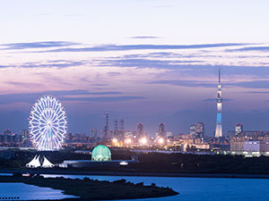 夜には東京スカイツリーや葛西臨海公園の大観覧のイルミネーションがご覧いただけます。