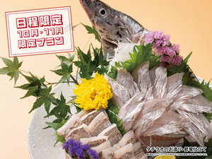 10月11月限定プラン